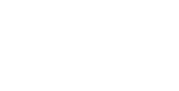 bsi-assurance